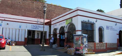 El Museo De Las Momias